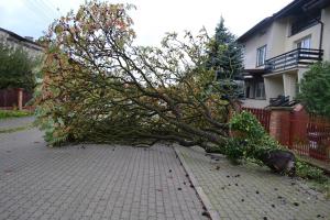 Służby pracują nad usuwaniem skutków wichury 